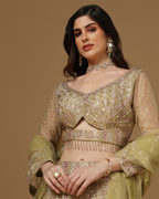 Olive Blush Mirrorwork Lehenga Set