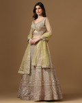 Olive Blush Mirrorwork Lehenga Set