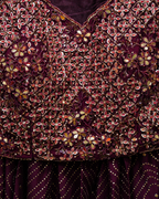 Sparkle in wine lehenga set