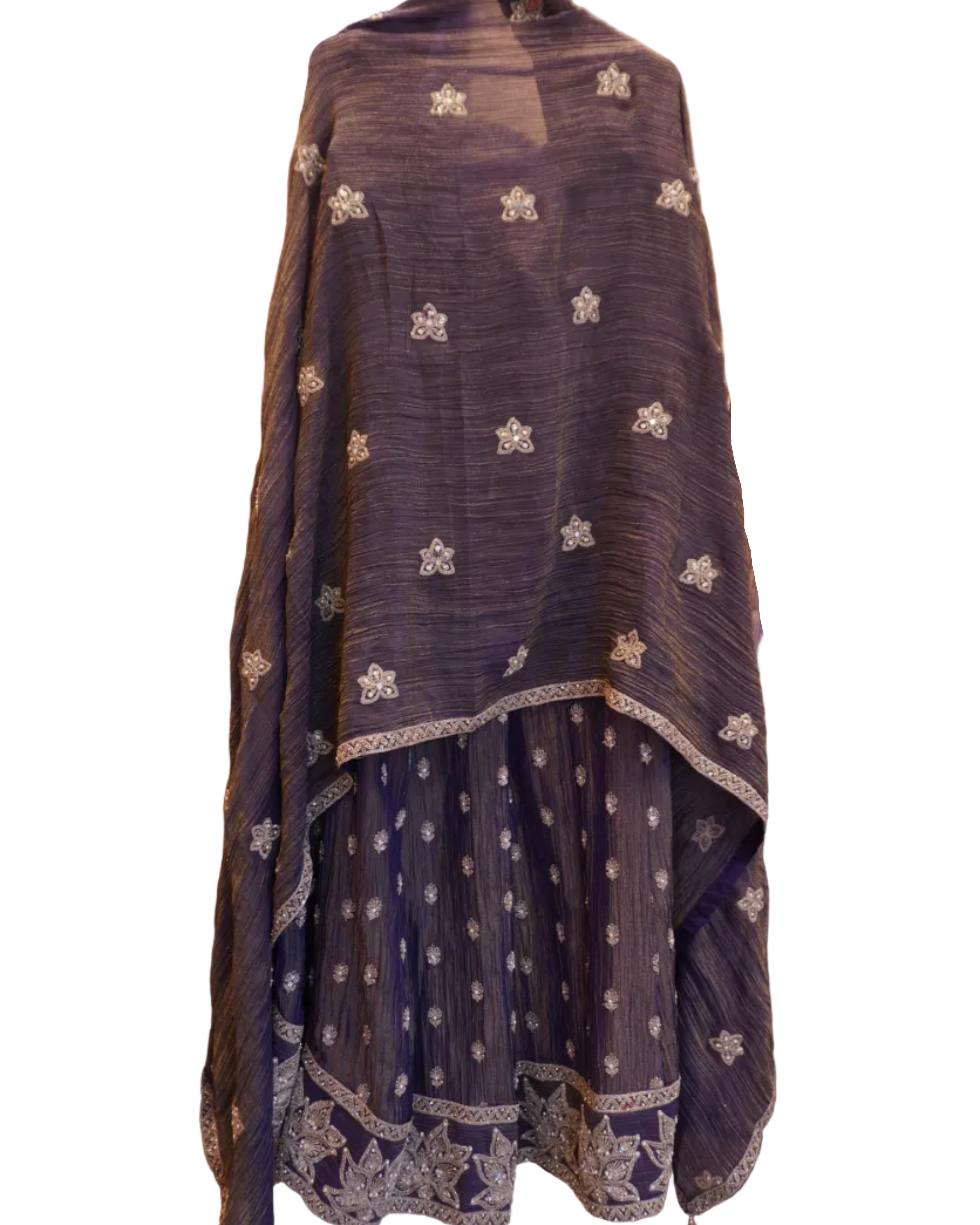 Shimmer Crop Top Plazo Elegante