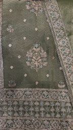 Shimmer Silk Zari Glow