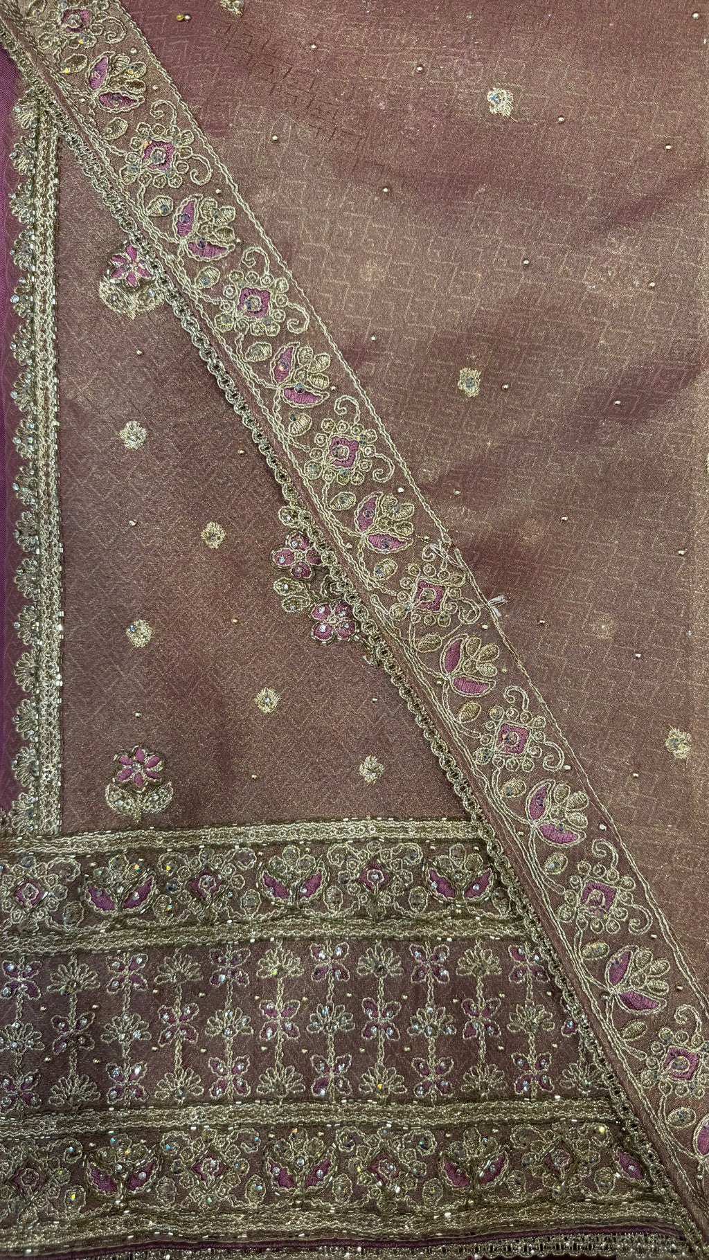 Shimmer Silk Zari Glow